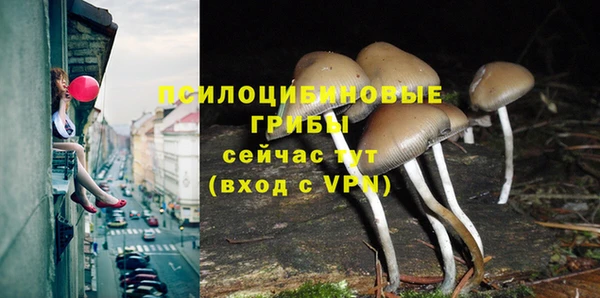 амфетамин Вяземский